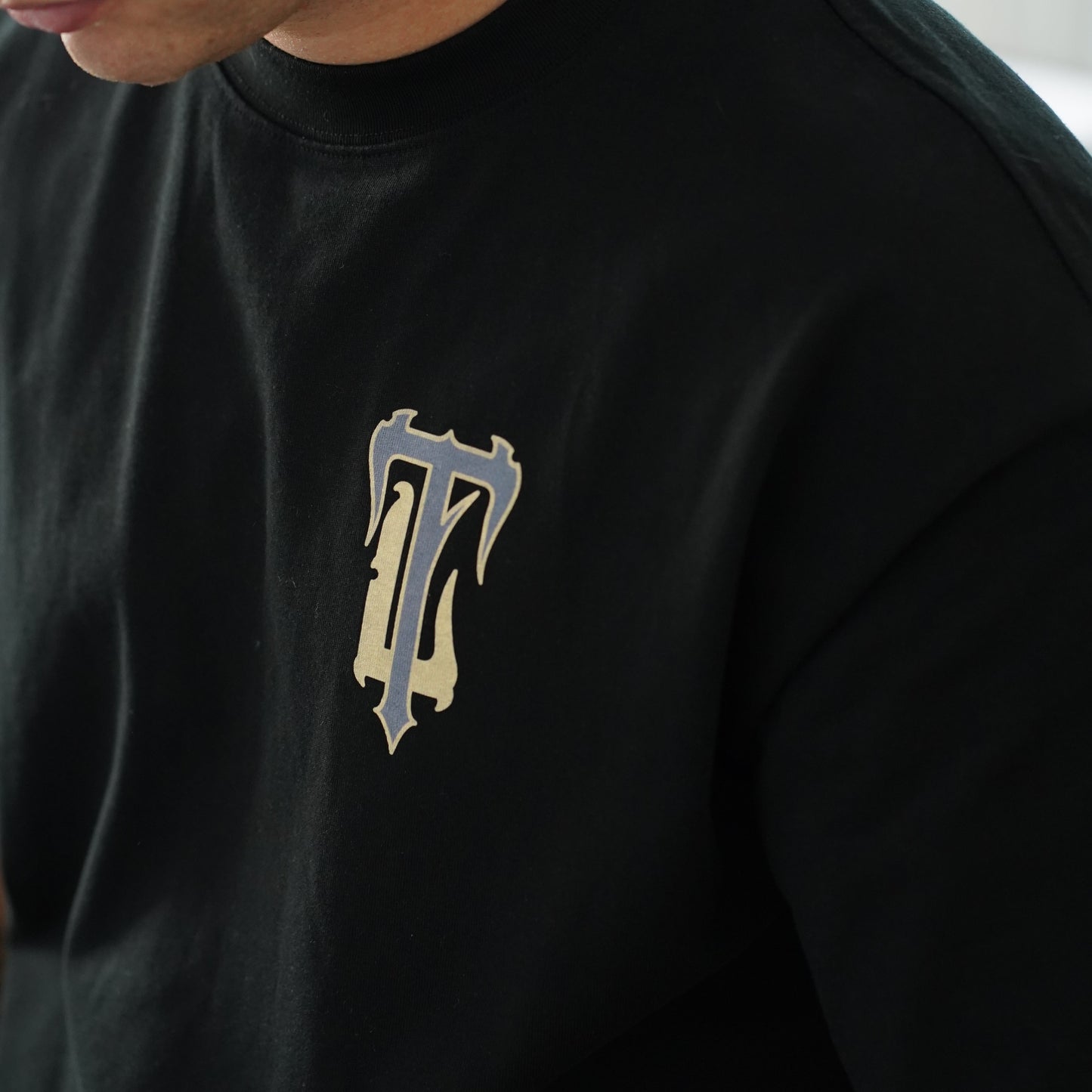 The Lighthouse - Light Premium T-Shirt