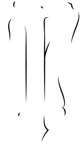 The Lighthouse Apparel